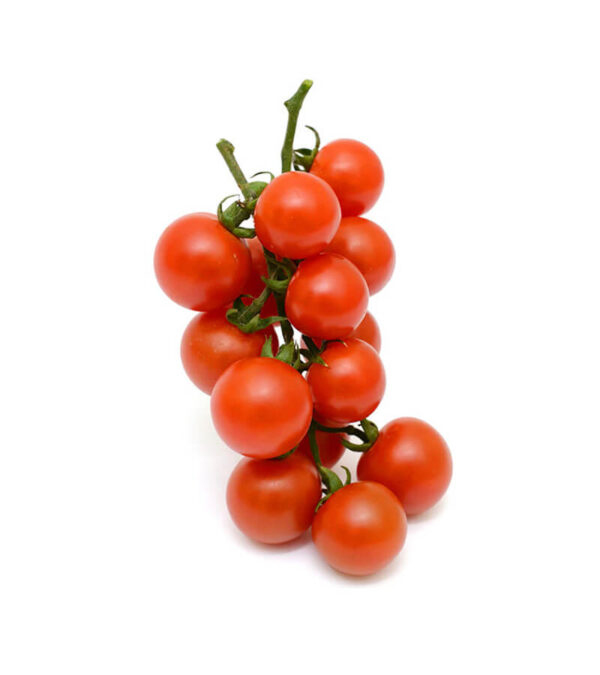 shop29-product-3-2 Product Image