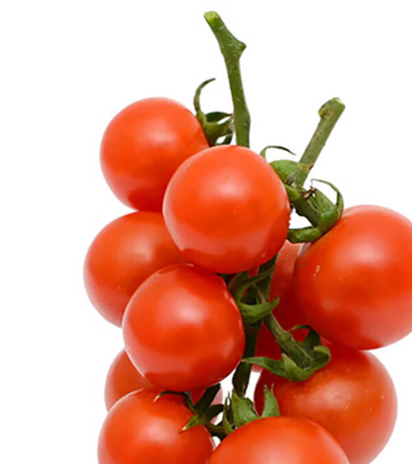 shop29-product-3-4 (1) Product Image