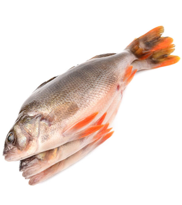 shop29-product-4-1 Product Image